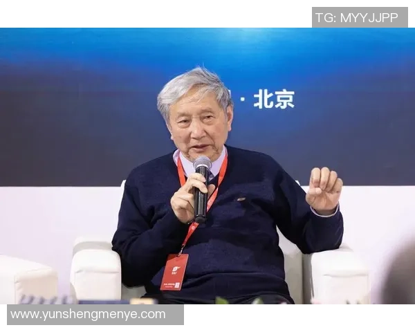 仰望中国足球明星的璀璨星空与未来发展之路